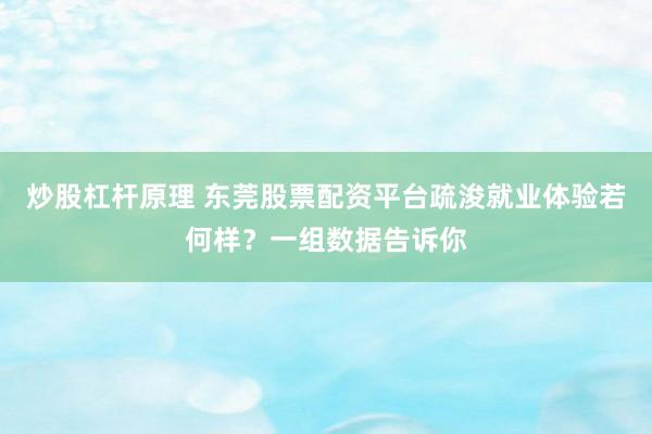 炒股杠杆原理 东莞股票配资平台疏浚就业体验若何样？一组数据告诉你