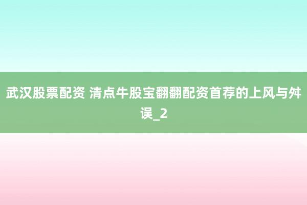 武汉股票配资 清点牛股宝翻翻配资首荐的上风与舛误_2